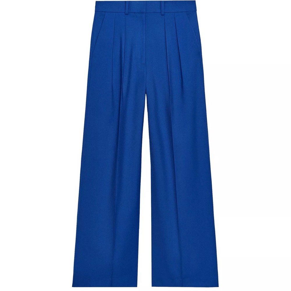 Zara Wide-Leg Pleated Pants